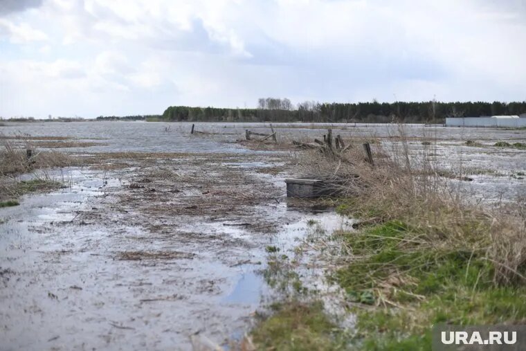 В Ишимском районе Тюменской области продолжают бороться с паводком. Фото: Никита Сабашников © URA.RU