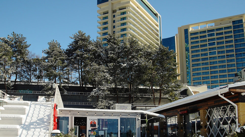 Фото: Юрий Самодуров / Коммерсантъ