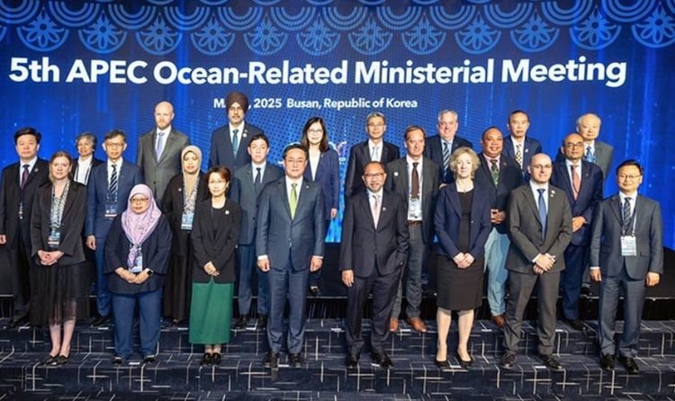    Россия расширит цифровизацию рыболовства в рамках сотрудничества со странами Азиатско-Тихоокеанского региона