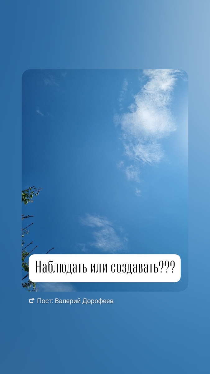 Наблюдать или создавать? Философия выбора между чужими историями и собственной жизнью