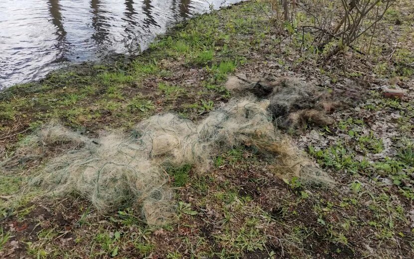    240 м рыболовных сетей достали из Камы в Удмуртии