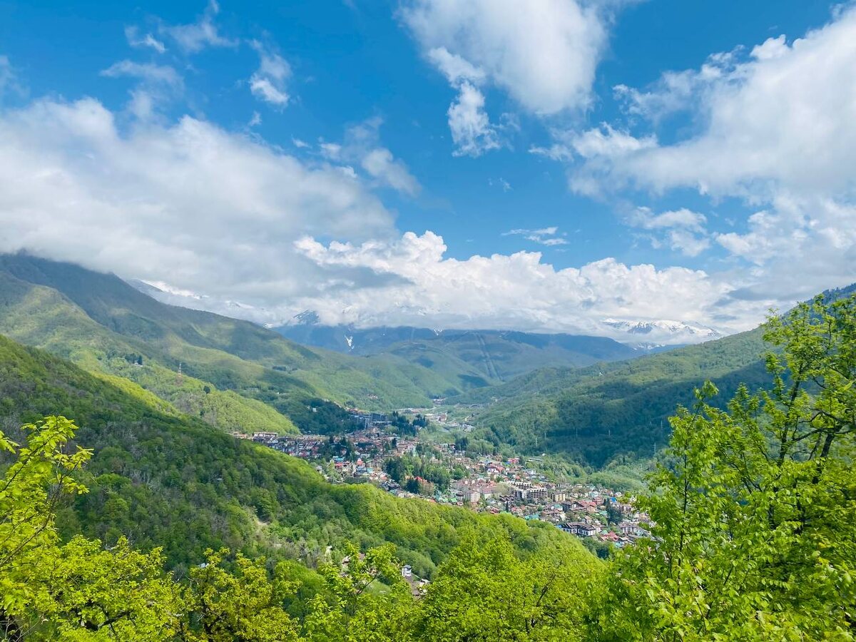 Здоровье – это выбор @zdorovieetovibor – Прогулки на природе снижают стресс