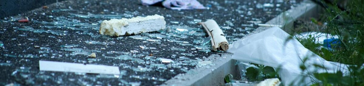    Фото: Валерия Алисова