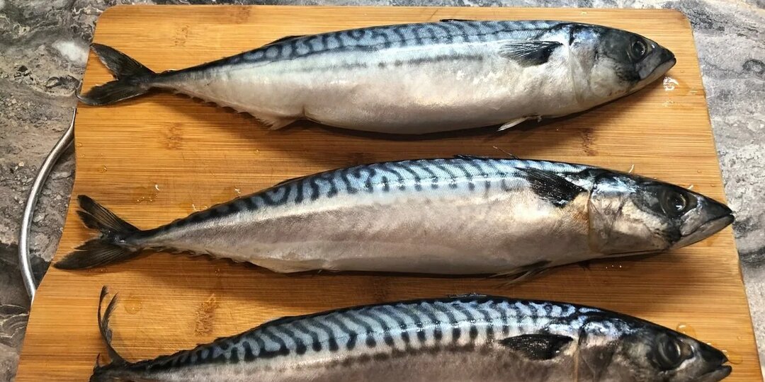 Пока ноги держат — ем эти продукты каждый день, чтобы мышцы не «таяли», а тело оставалось сильным