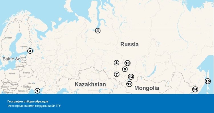     Где в России ос загрязнил микропластик больше всего
