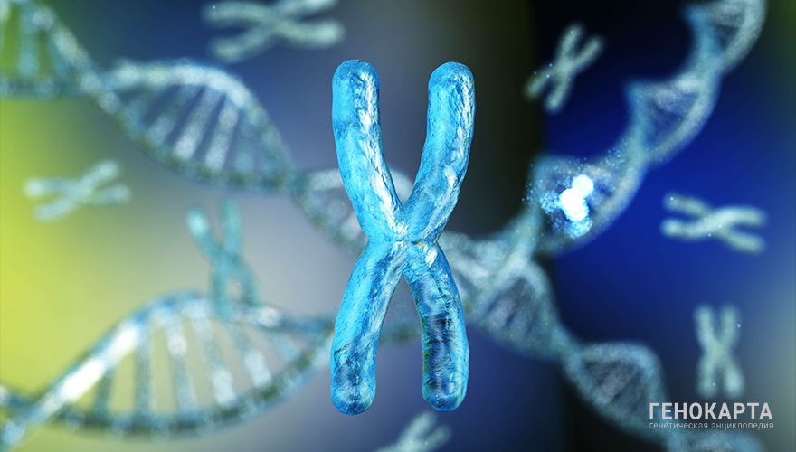 ustas7777777 // shutterstock.com