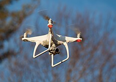    Фото: wikipedia.org