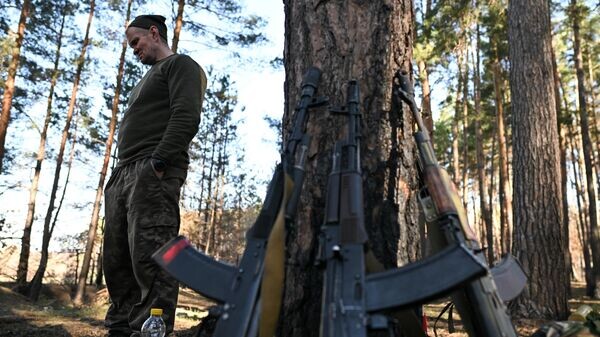    © Sputnik / Сергей Бобылев