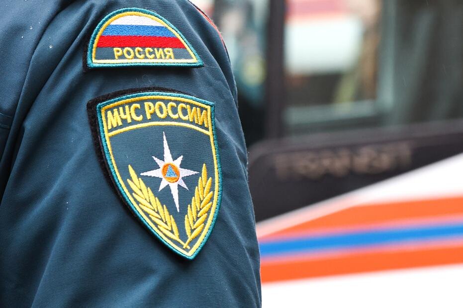    Наталья Шатохина/NEWS.ru