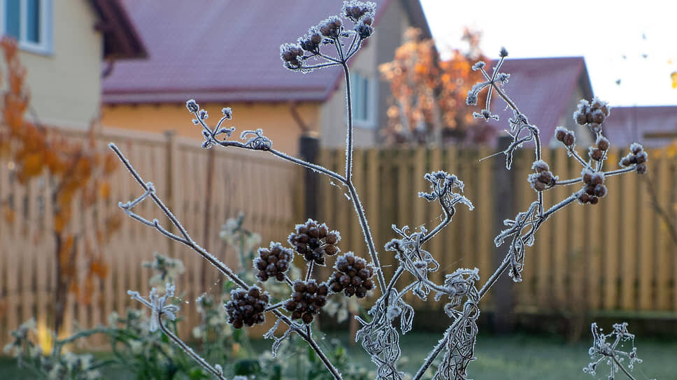 Фото: Майя Жинкина / Коммерсантъ