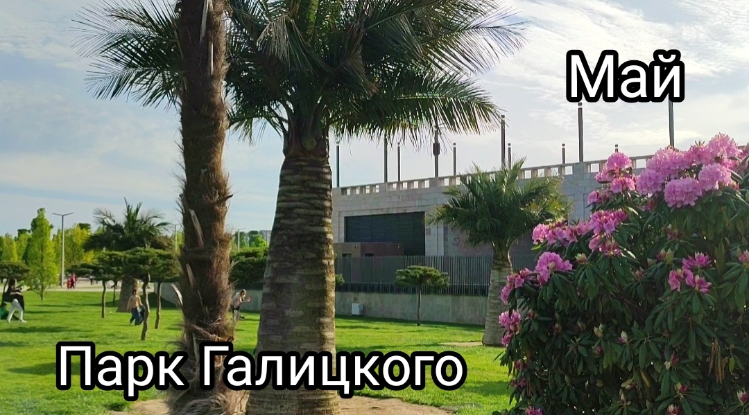 🌿🌸🌿🌸🌿🌸🌿