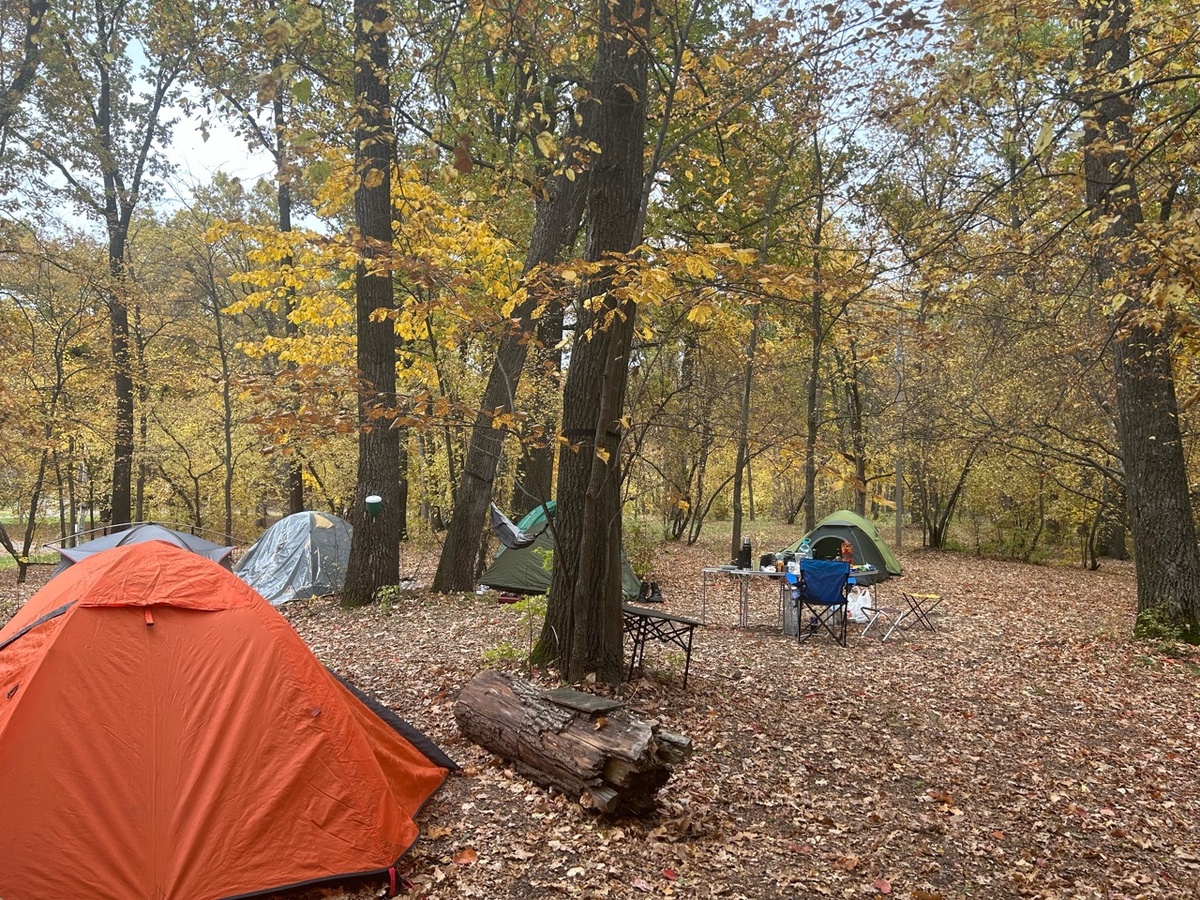    Фото: архив progorod