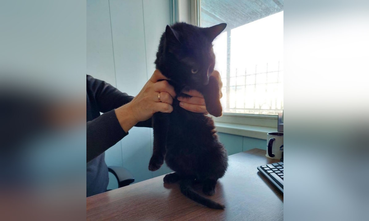    Фото t.me/tg_fesco