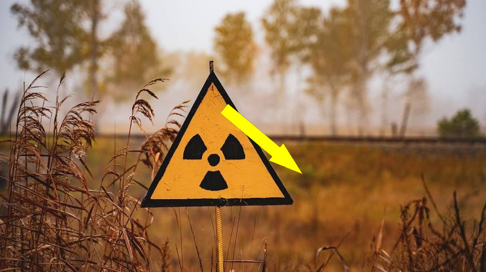    Гибридные эпидемии грипп и радиация создают монстра