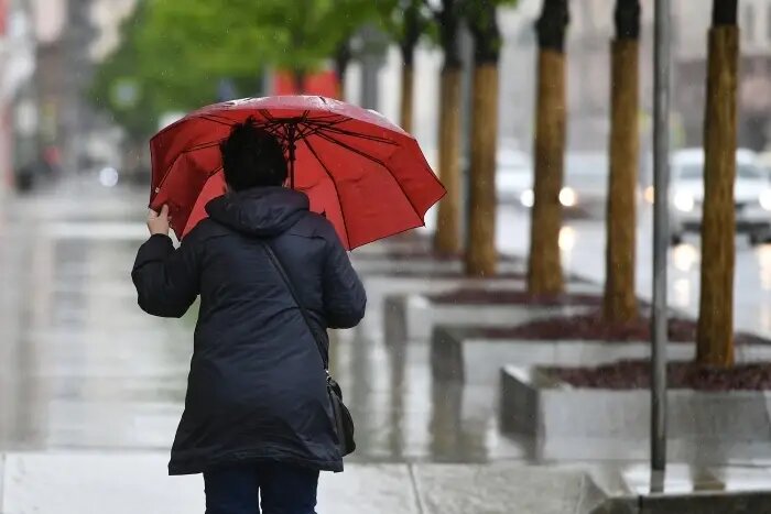     © РИА Новости. Максим Блинов