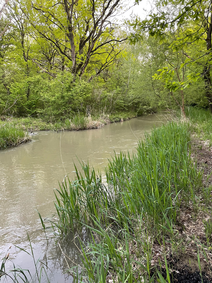 Река в селе