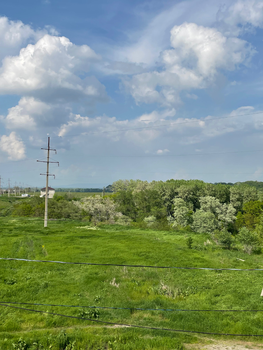 Наш вид из окна