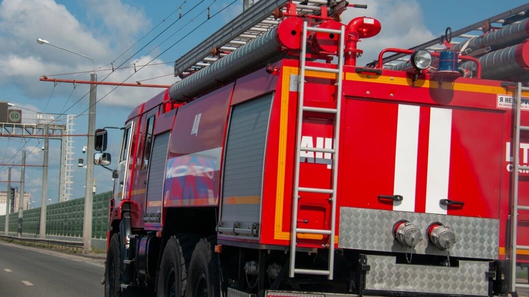    Фото: Svetlana Vozmilova/Globallookpress