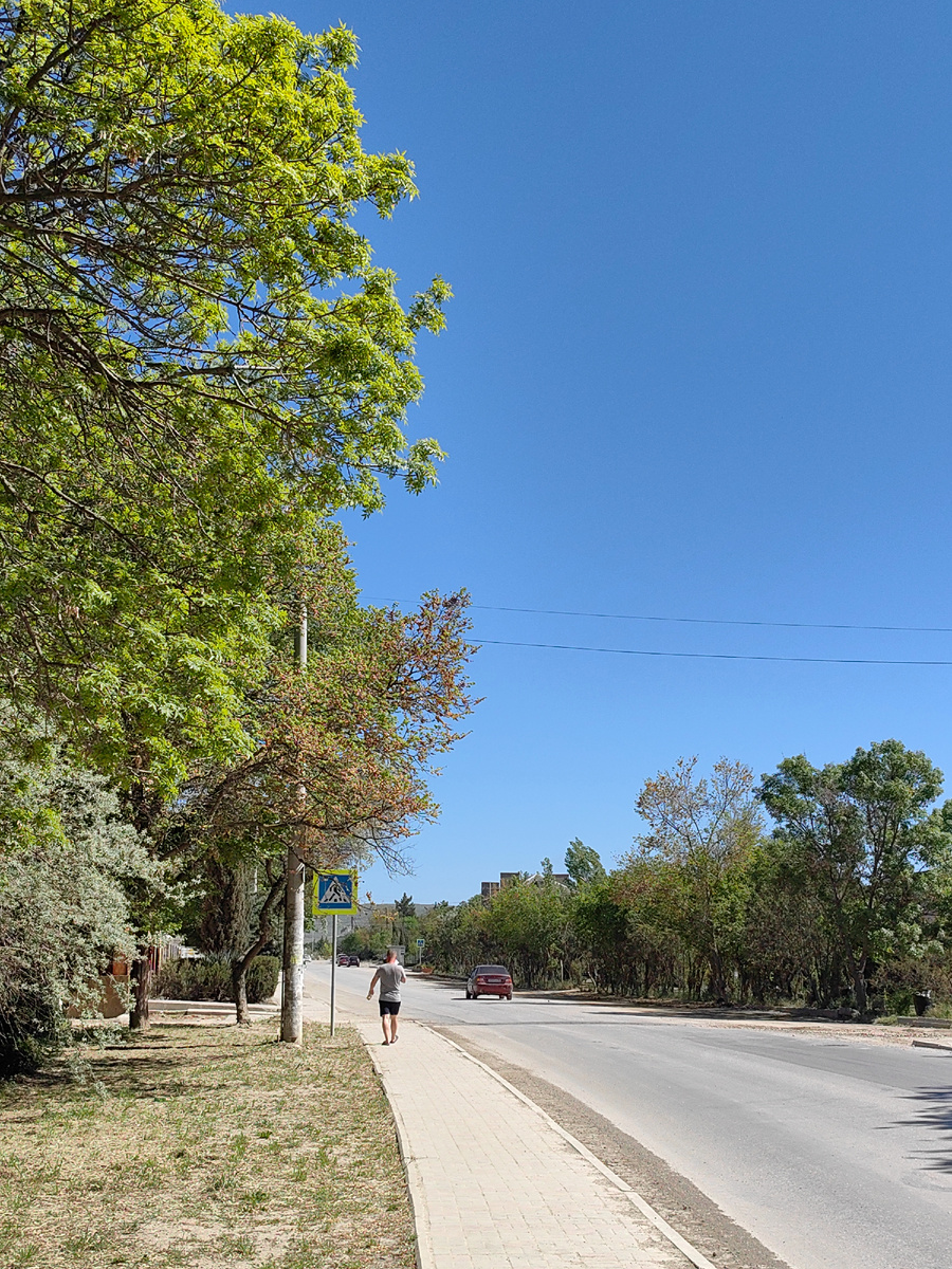 Сегодня. Фото автора канала