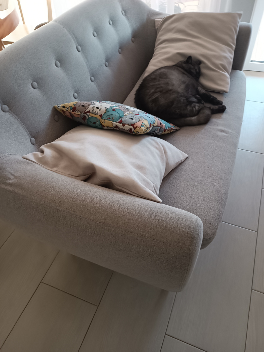 Или спать на них, откинув все четыре лапки🤣🤣