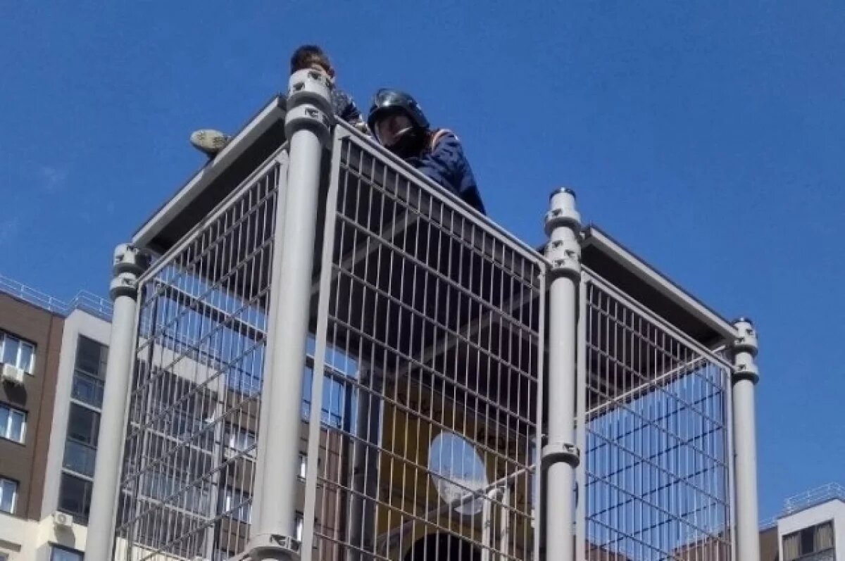    Ульяновские спасатели пришли на помощь мальчику, застрявшему на крыше горки