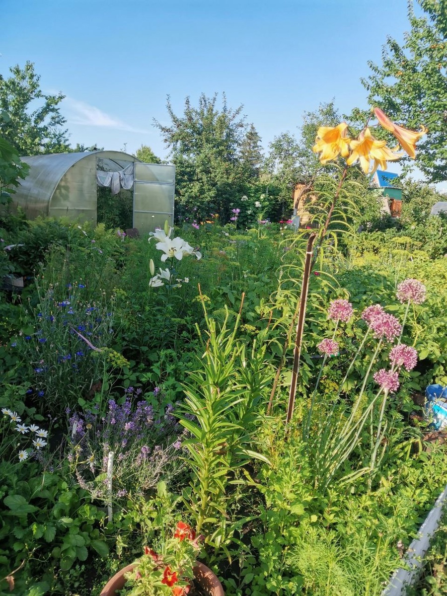    архив samaraonline24