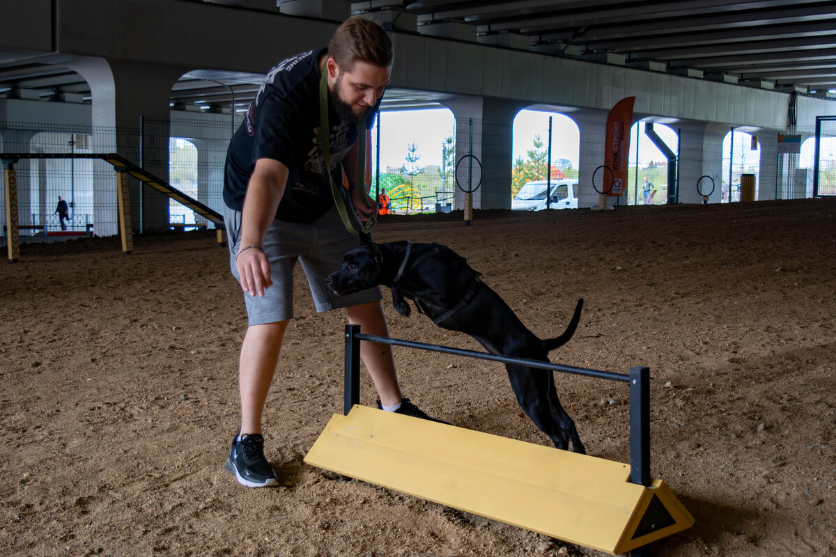    Фото: Галина Ниценкова