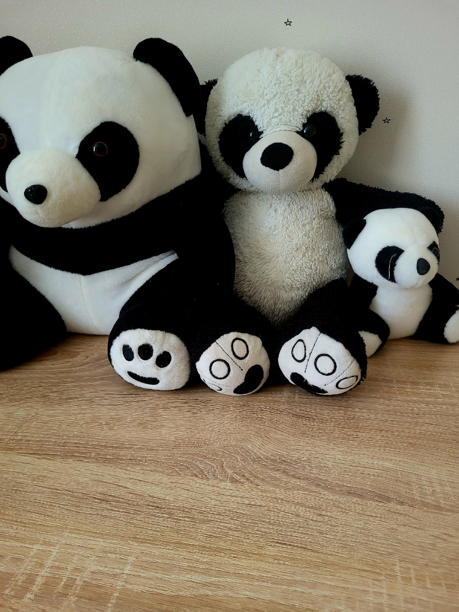 🐼🐼🐼