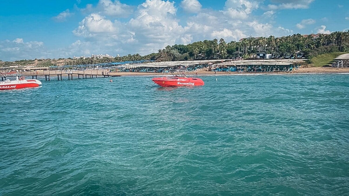     Источник: 1MI