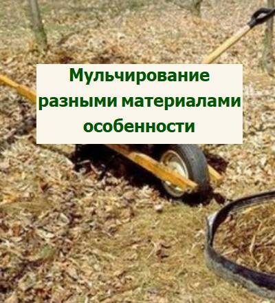 мульчирование почвы