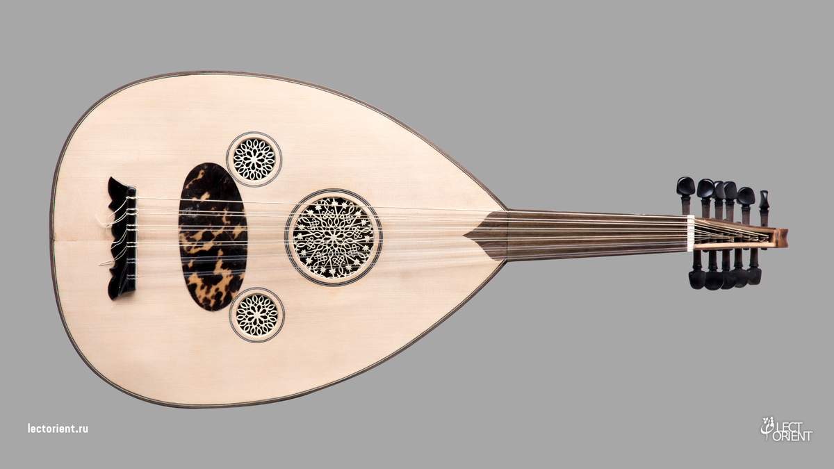 Фото взято в фотостоке Canva