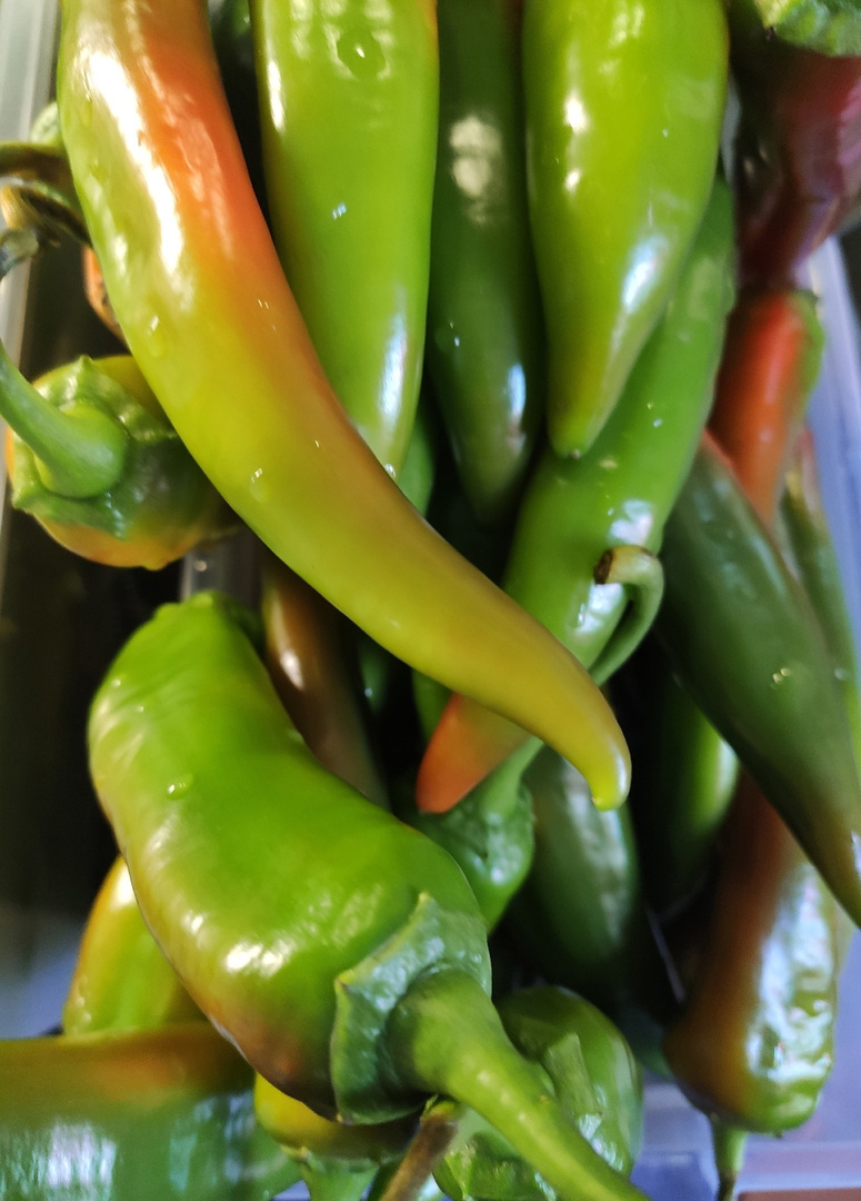 Красивый, вкусный острый перец рецепт