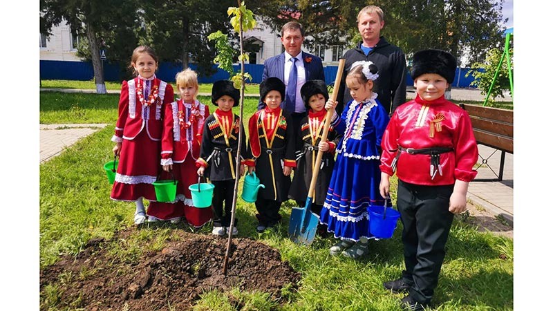    Юные казачата Воздвиженской высадили липовую аллею к 80-летию Победы