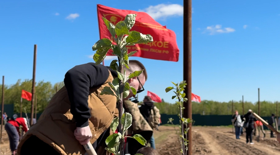    © АО "ТВ Центр"