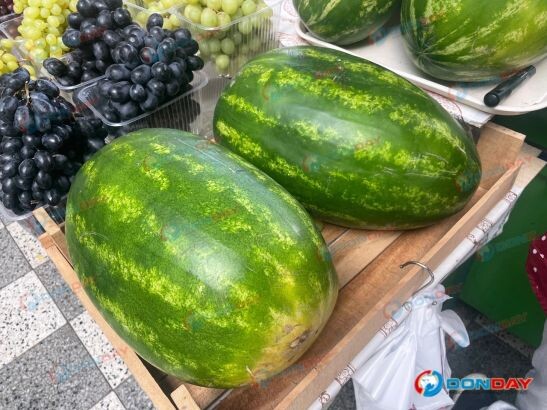    фото DonDay Редактор