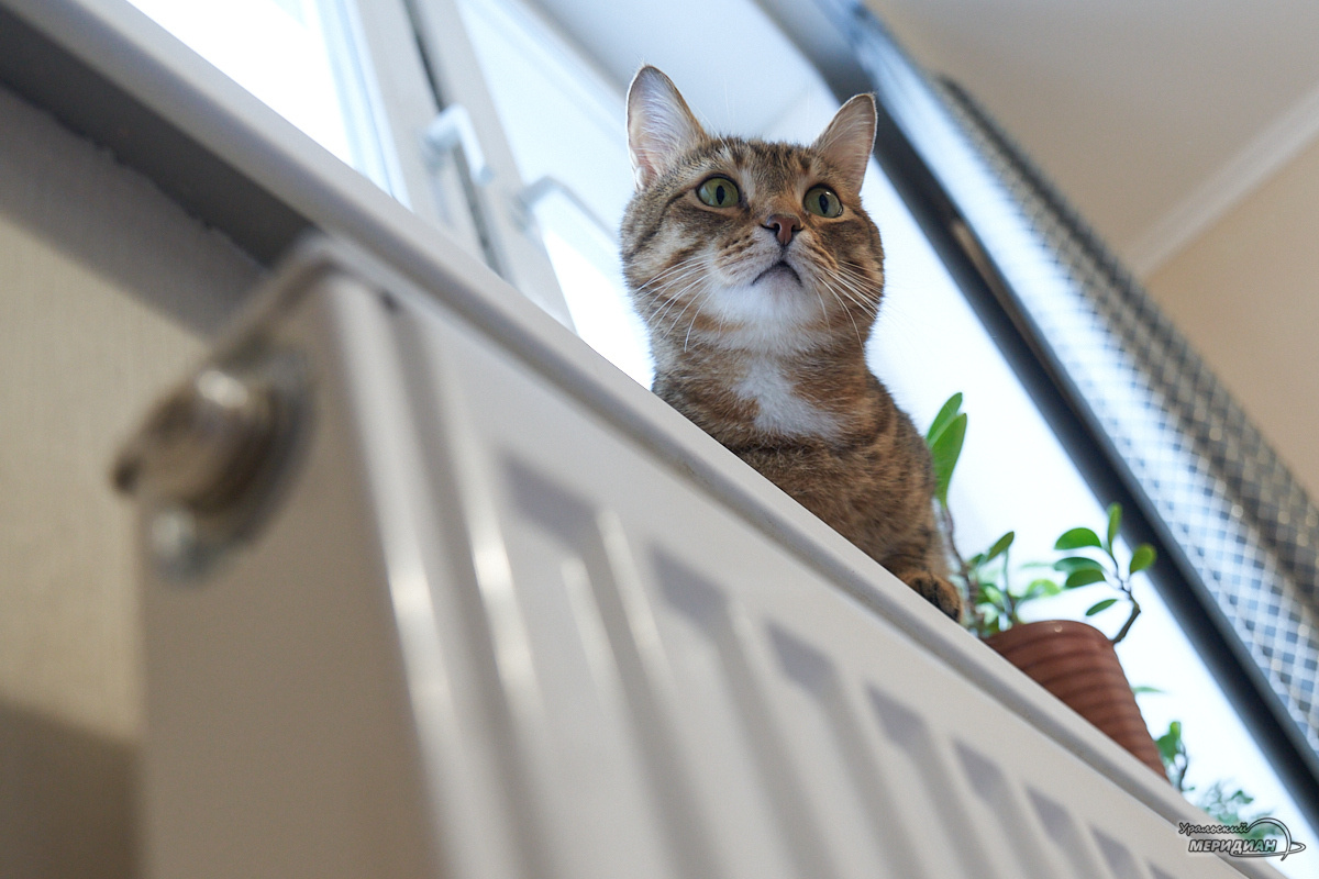    Фото: Лидия Аникина © ИА «Уральский меридиан»