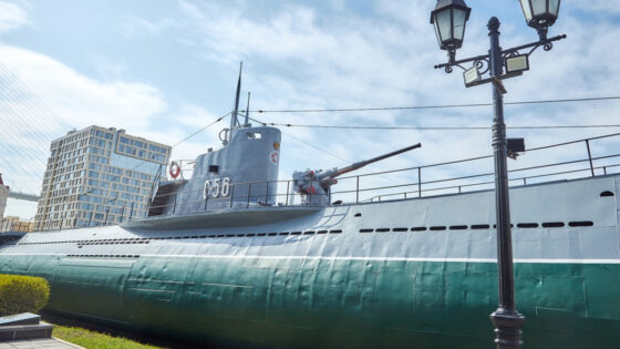     Фото: Минобороны РФ