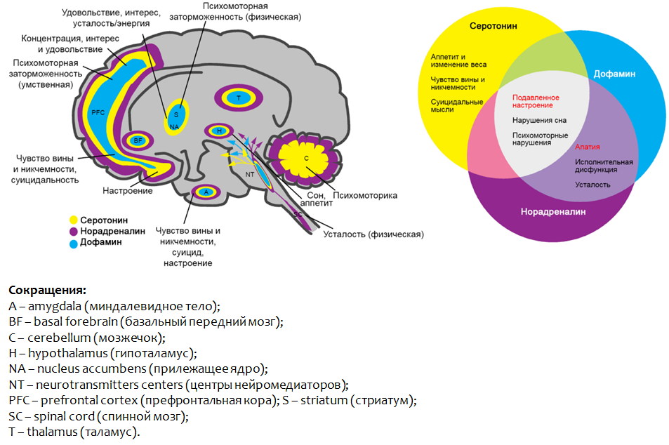 Saltiel P.F., Silvershein D.I. Major depressive disorder: mechanism-based prescribing for personalized medicine // Neuropsychiatr Dis Treat. 2015. 11. P. 875–88.