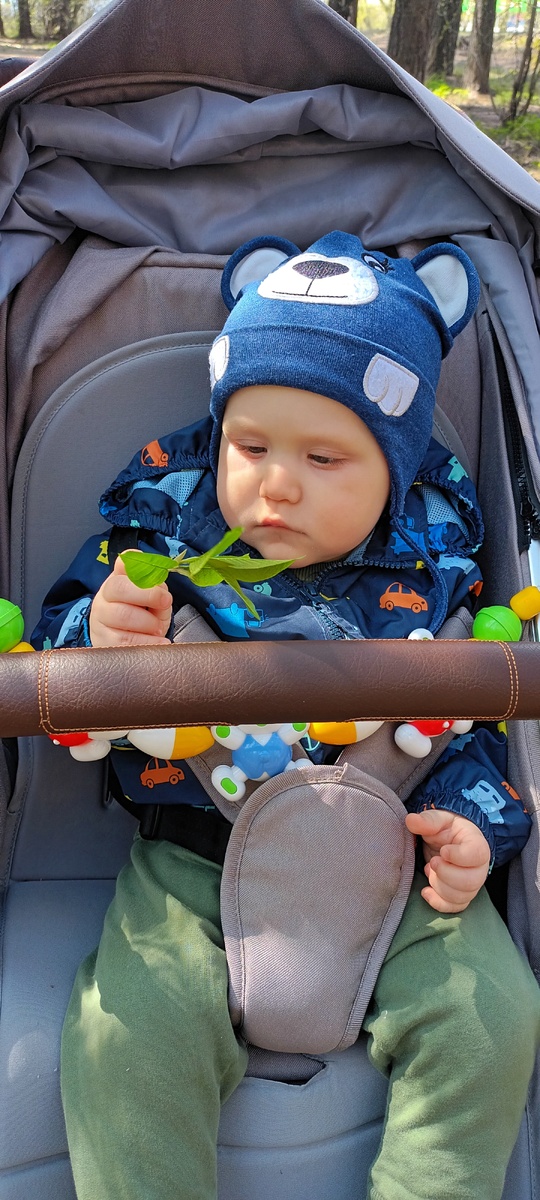 Гуляем 