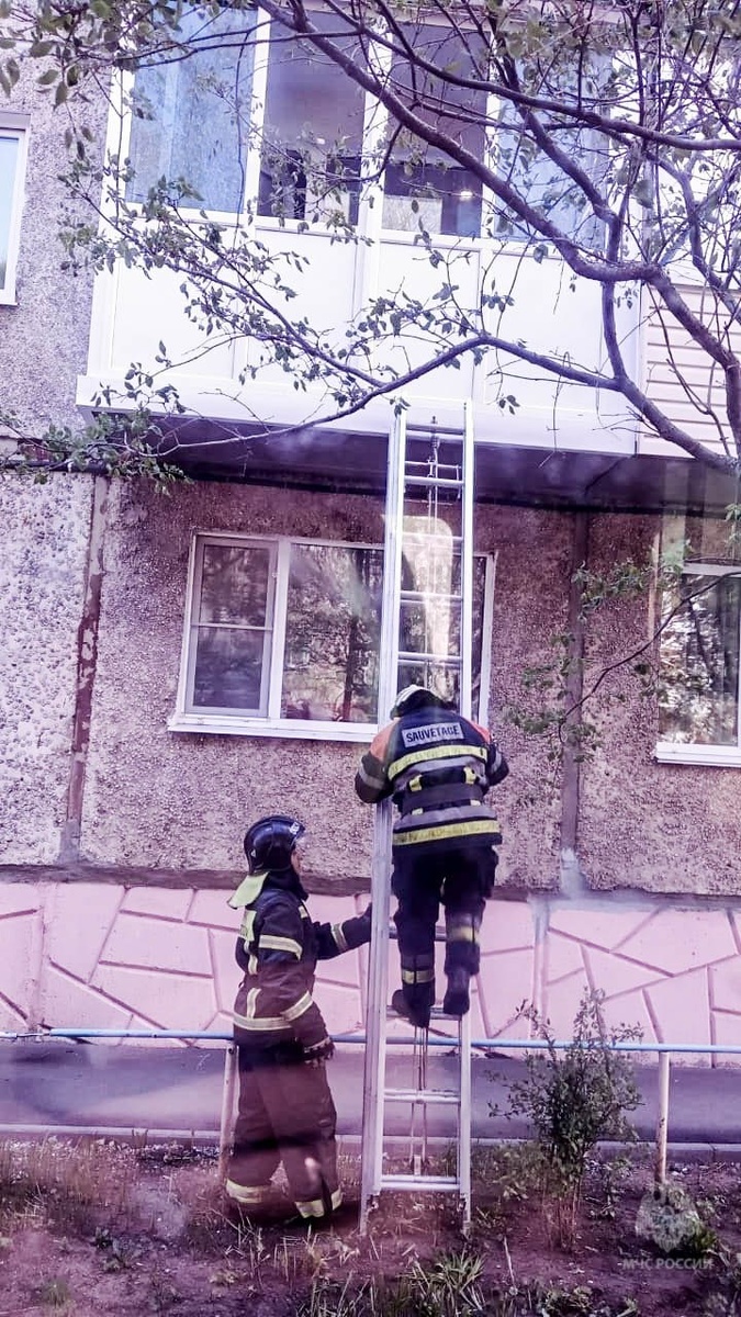    Фото: пресс-служба МЧС по Омской области