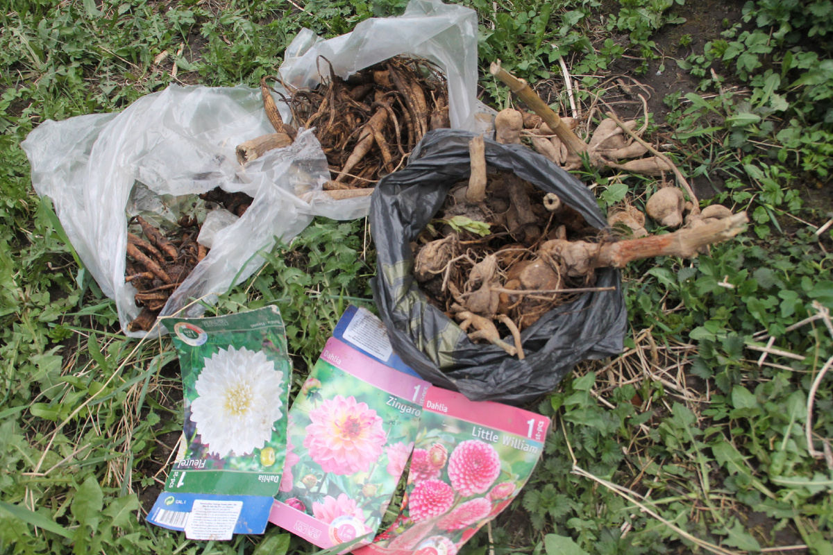 Домик в Псковской деревне. Фото Автора.