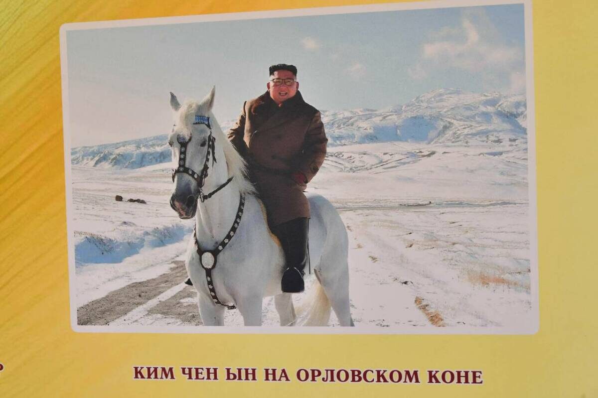 Фото: t.me/galimovatatarstan