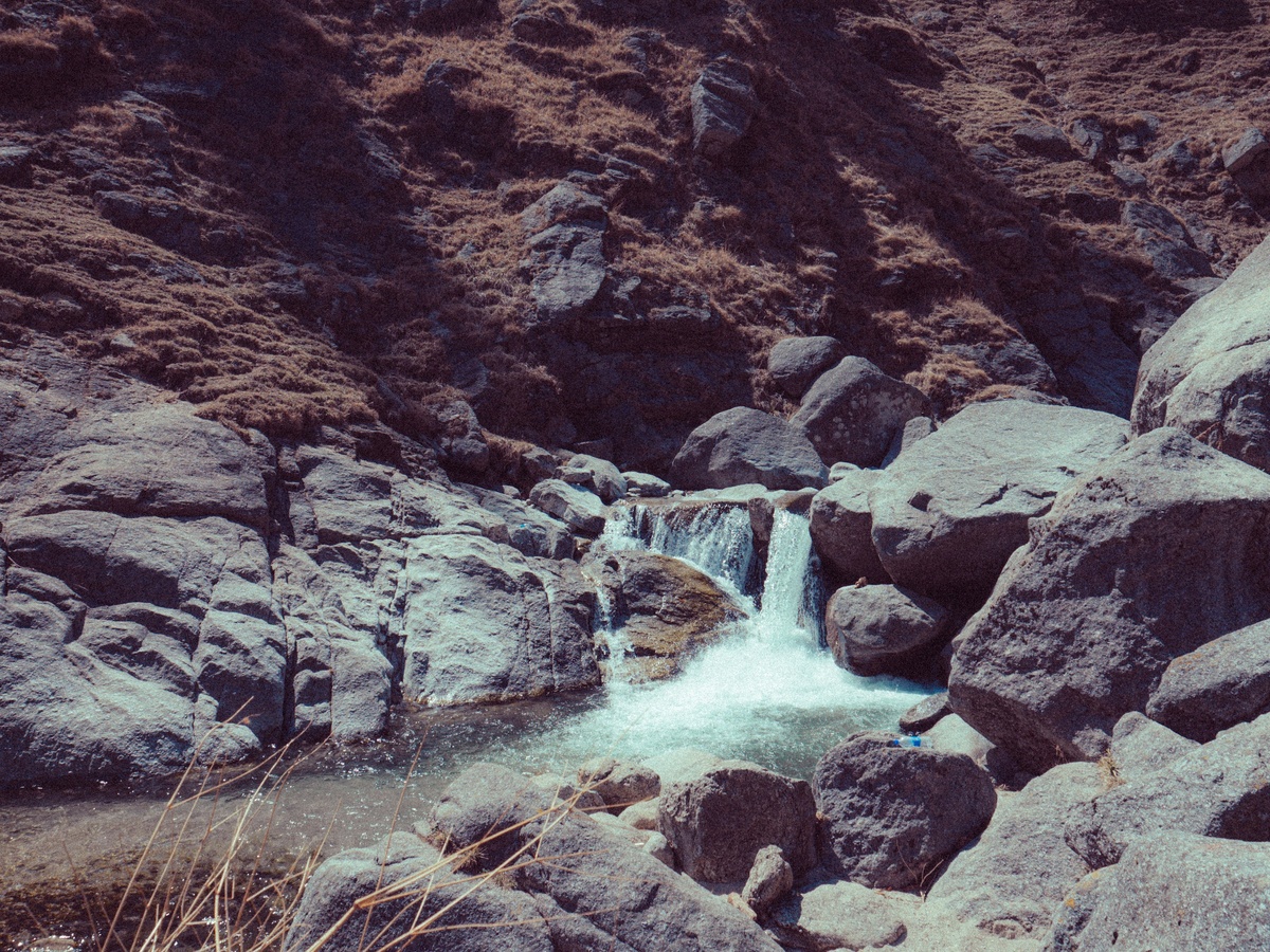 Фото с бесплатного фотостока https://unsplash.com, автор Prashant