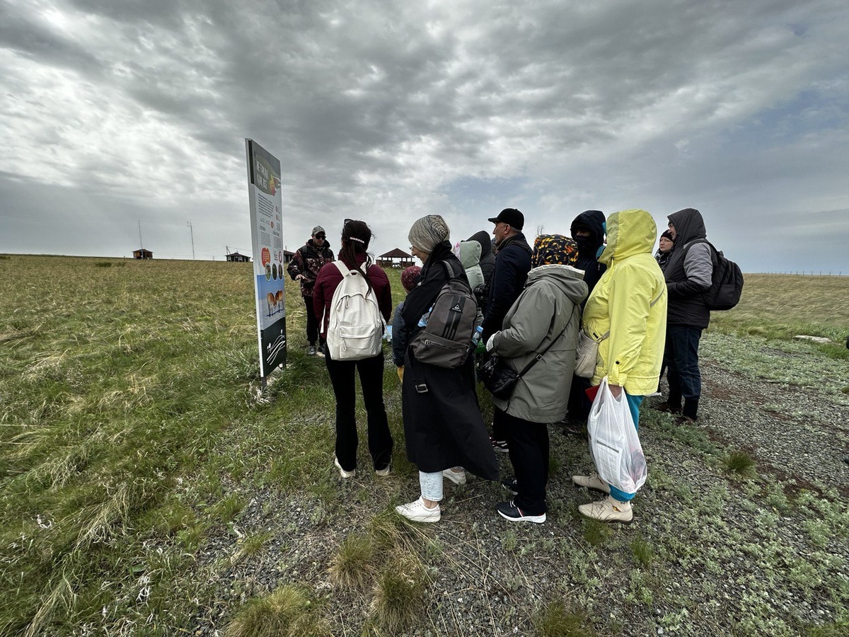 Заповедник "Оренбургский", участок "Предуральская степь", уентр реинтродукуции лошадей Пржевальского