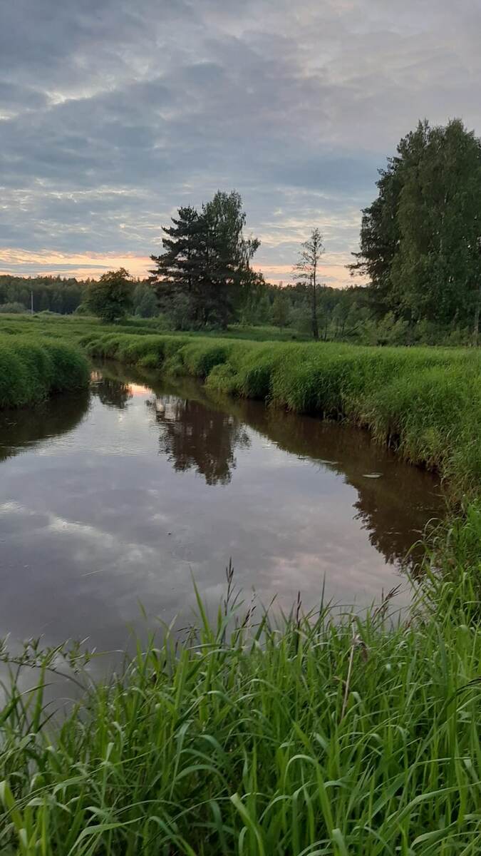 Река Шередарь, вблизи села Воскресение, Владимирская область.