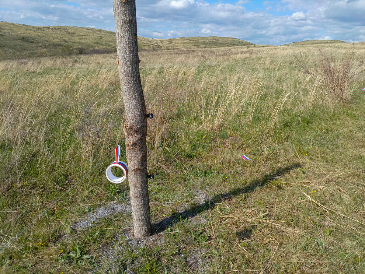 Такой вот скотч триколорушка. 👍