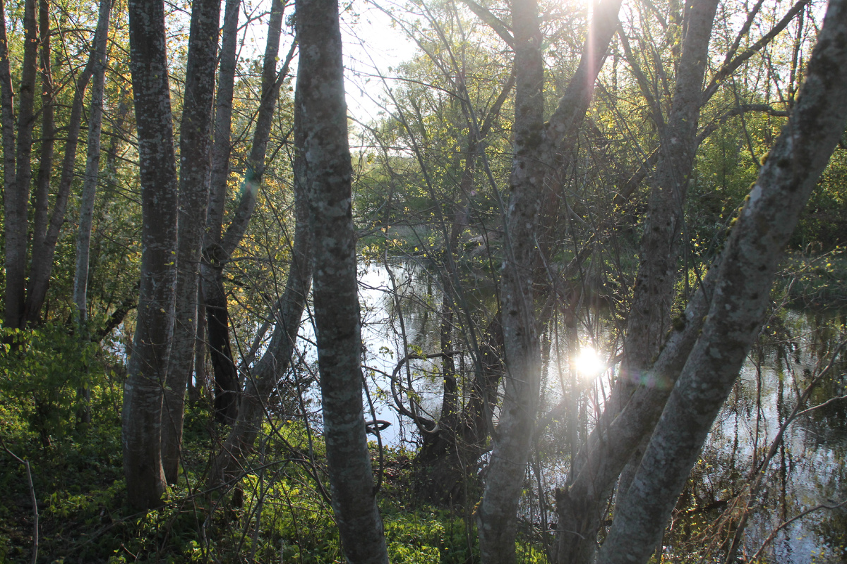 Тринадцитиморье. Тут русский дух, тут Русью пахнет. Фото Автора.