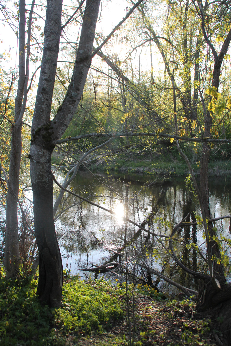 Тринадцитиморье. Тут русский дух, тут Русью пахнет. Фото Автора.
