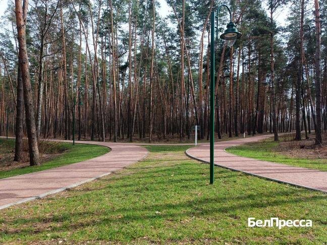 Фото: Марина Кудлаева