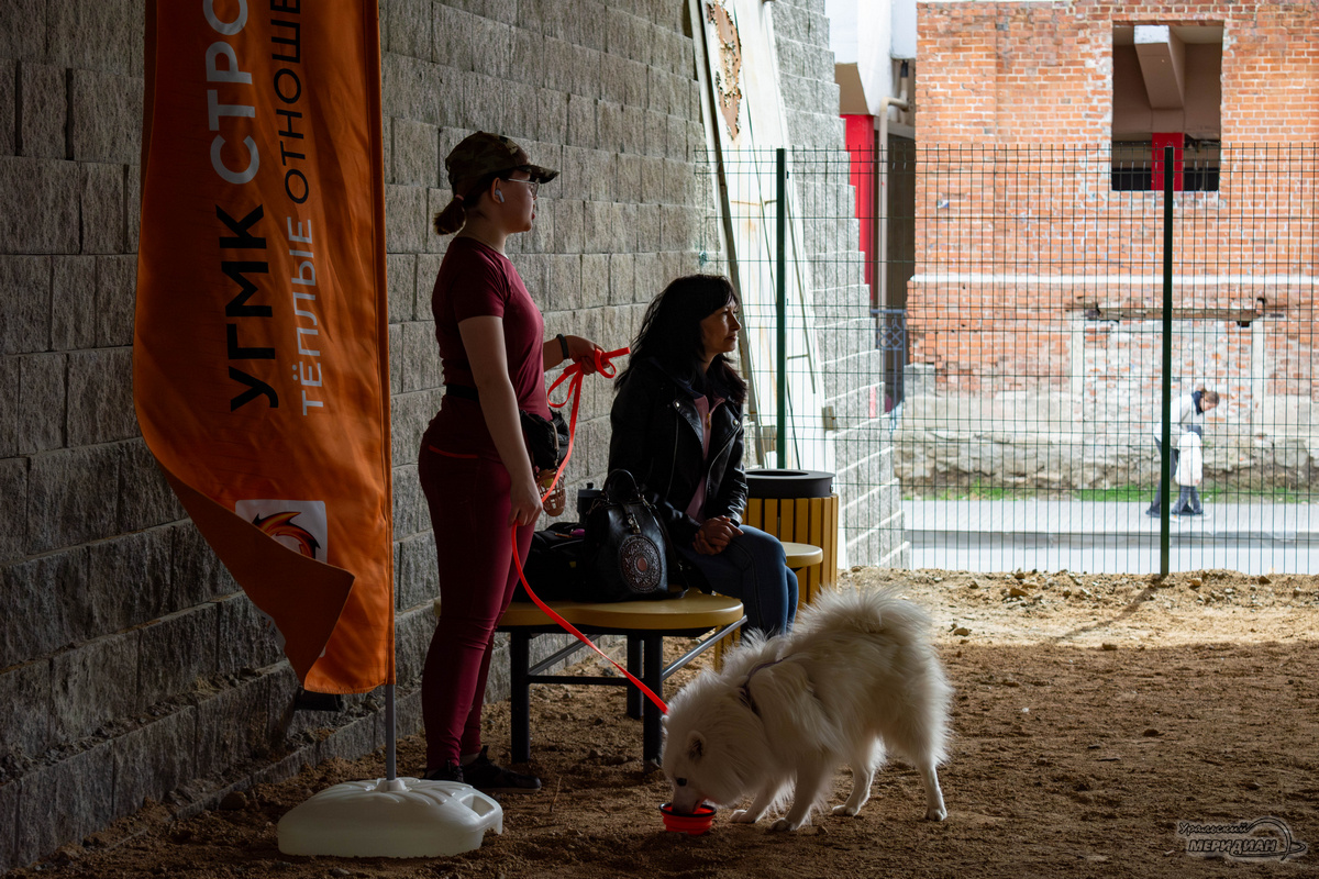    Фото: Галина Ниценкова © ИА «Уральский меридиан»